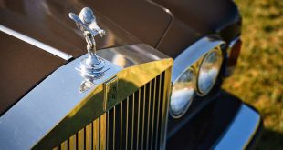 trabzonotokurutma.com .4